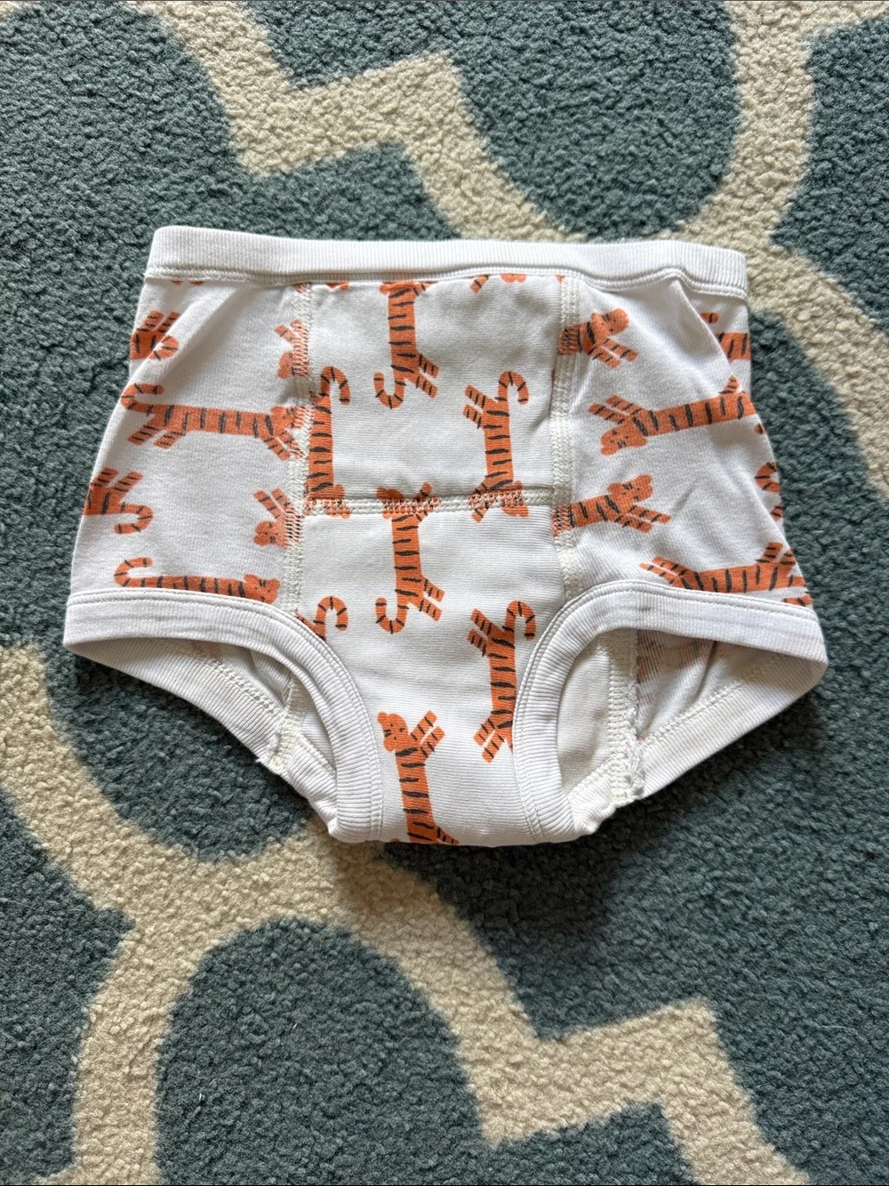 Hanna Andersson Boys Training Briefs Bundle